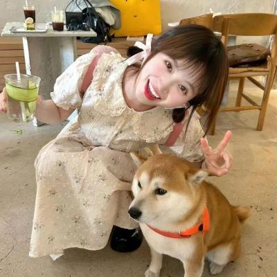 摘苹果的时候